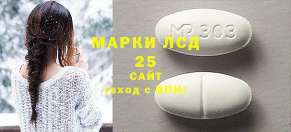 индика Богородск